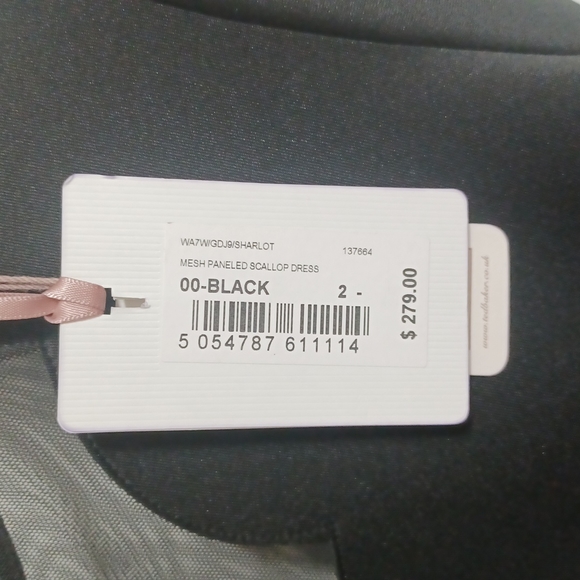 NWT Ted Baker London Mesh Paneled Scallop Dress - Picture 3 of 8